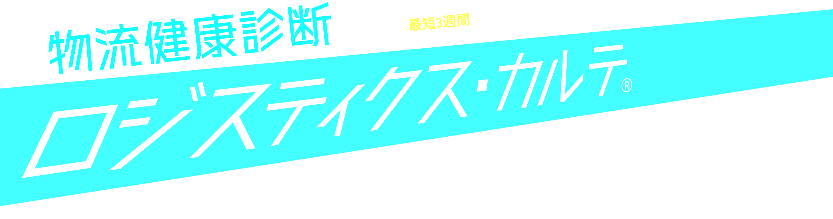 物流健康診断 ロジスティクス・カルテ® その課題、最短3週間でまる見え!?